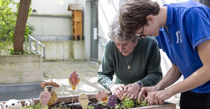 FSJ Gartenprojekt 2025