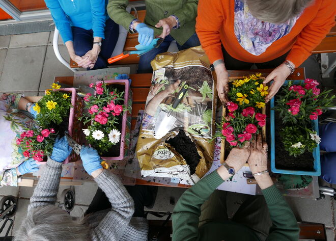 Kundinnen im Tageszentrum pflanzen Blumen ein
